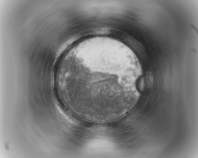 X0000101650726200807311412