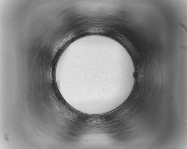 X0000101650727200807311412