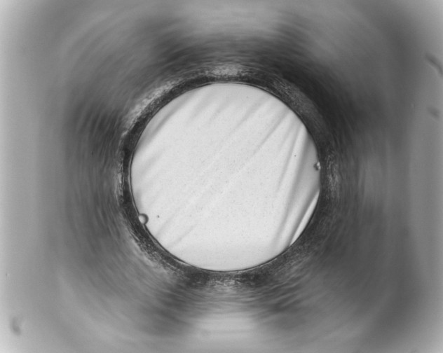 X0000101650728200807311412