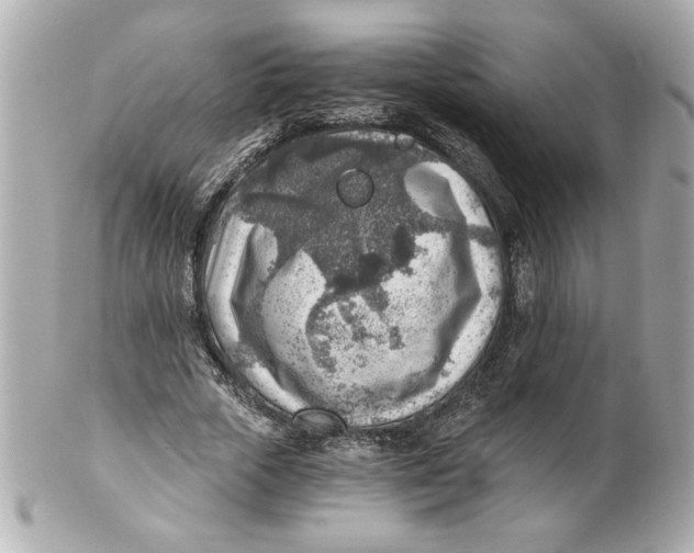 X0000101650729200807311412