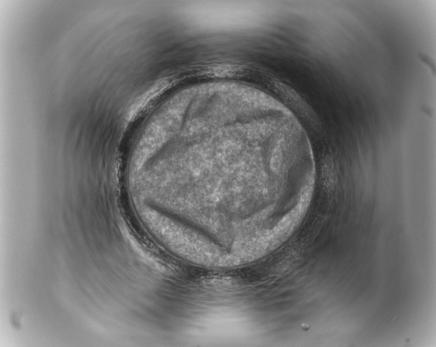 X0000101650730200807311412