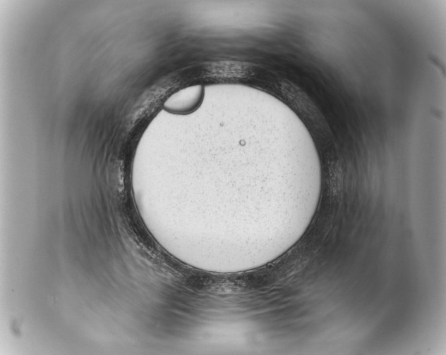 X0000101650731200807311412