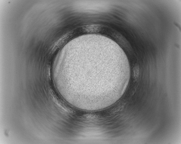 X0000101650733200807311412