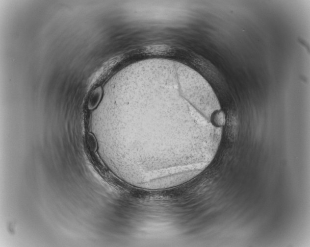 X0000101650734200807311412
