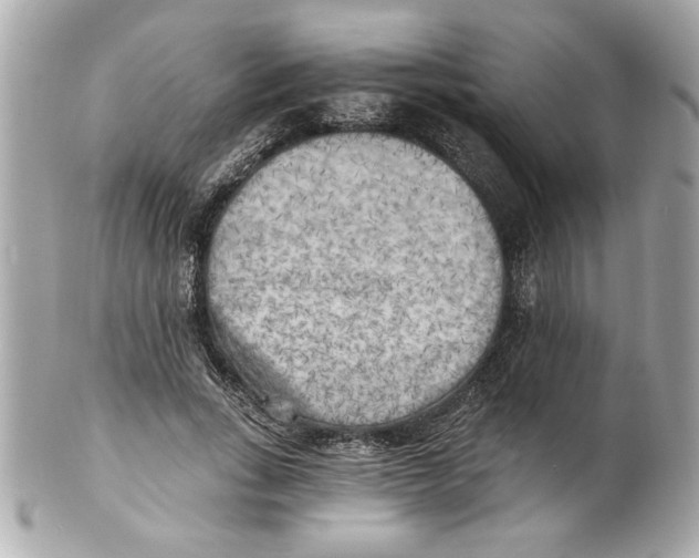 X0000101650735200807311413