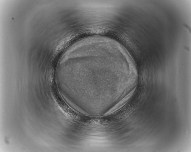 X0000101650736200807311413