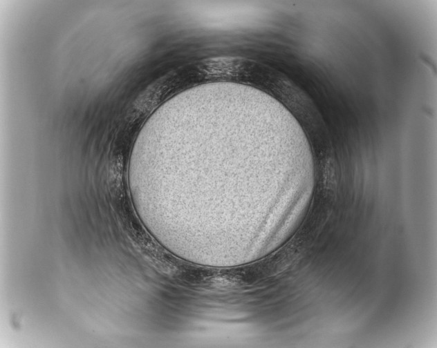 X0000101650737200807311413