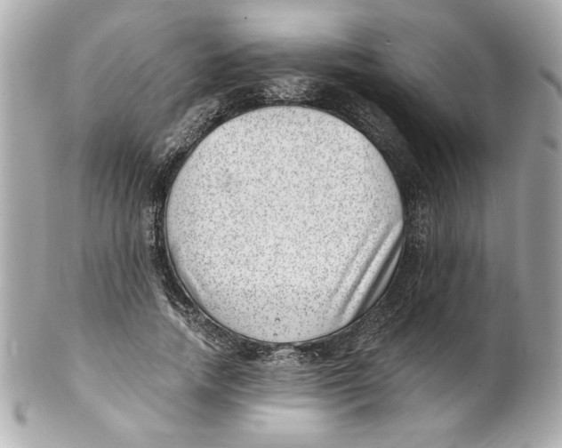 X0000101650738200807311413