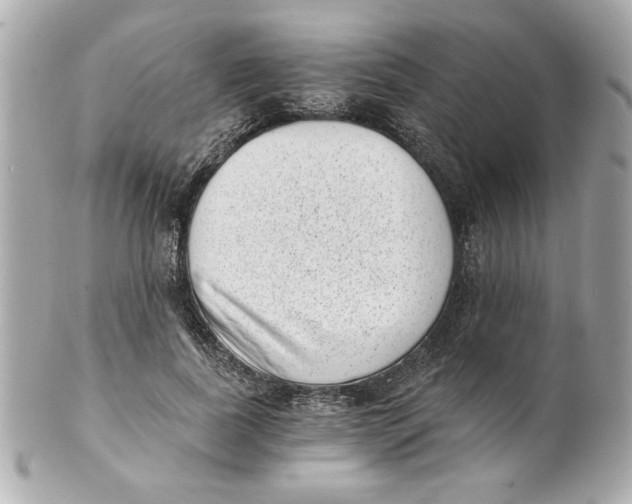 X0000101650739200807311413