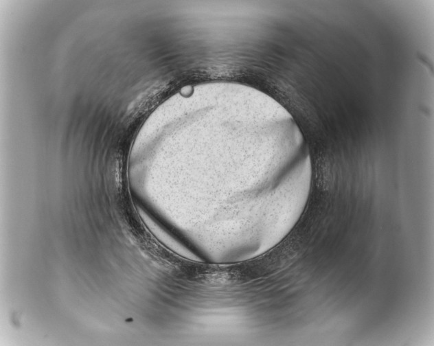 X0000101650740200807311413