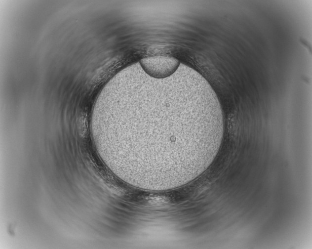 X0000101650741200807311413