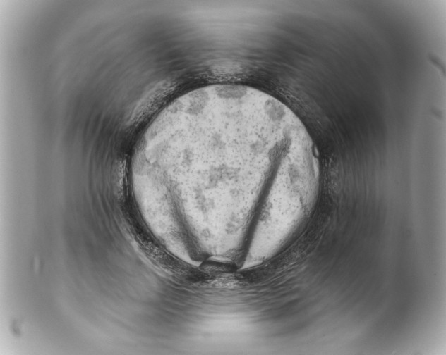 X0000101650742200807311413