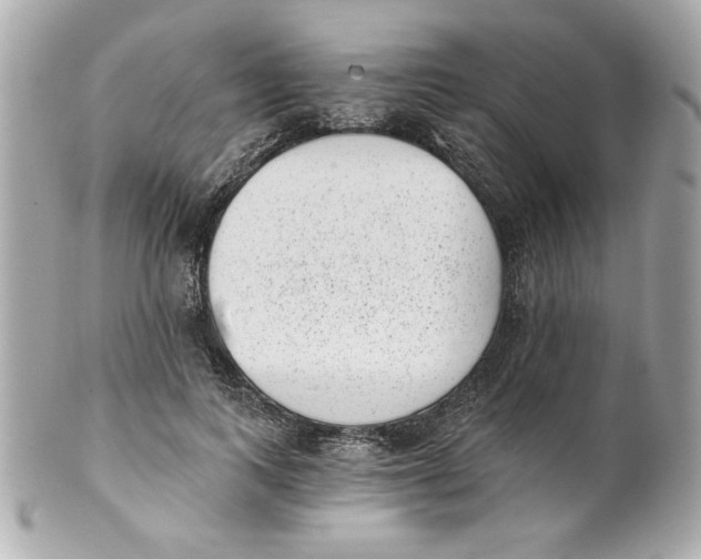 X0000101650743200807311413