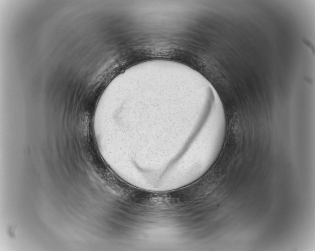 X0000101650744200807311413