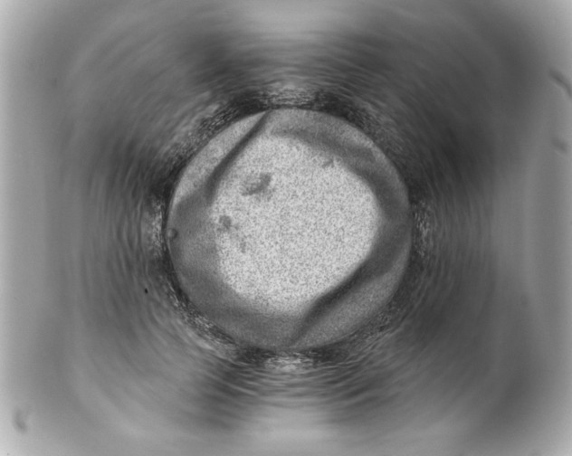 X0000101650745200807311413