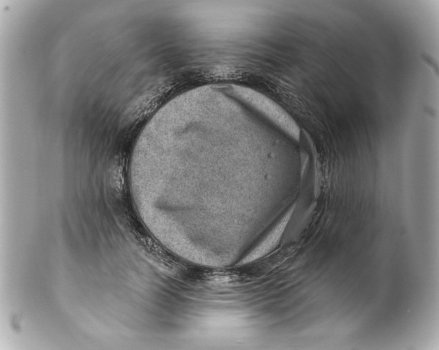 X0000101650746200807311413