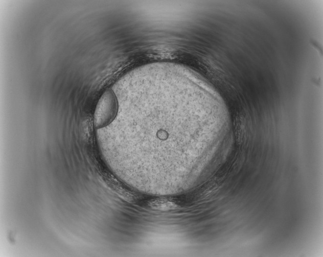 X0000101650747200807311413