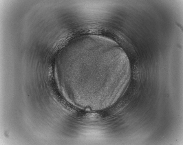 X0000101650748200807311413