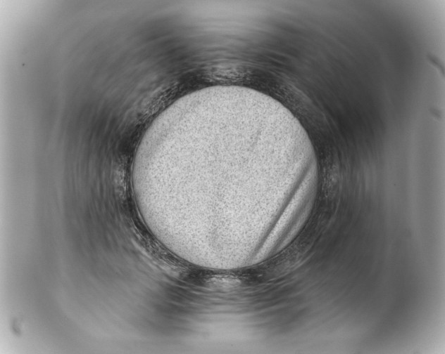 X0000101650749200807311413