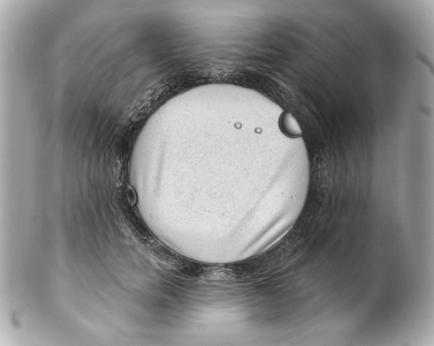 X0000101650750200807311413