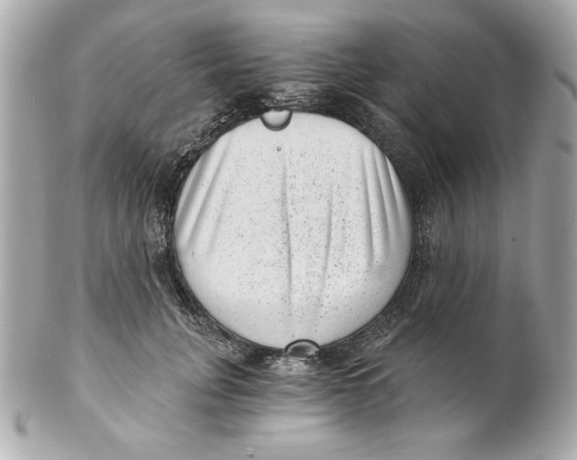 X0000101650751200807311413