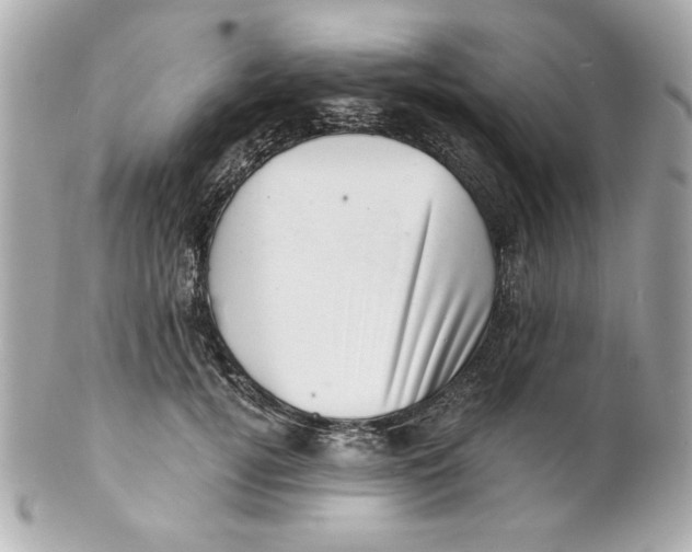 X0000101650752200807311413