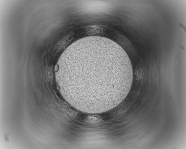 X0000101650753200807311413