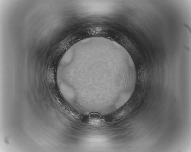 X0000101650754200807311413