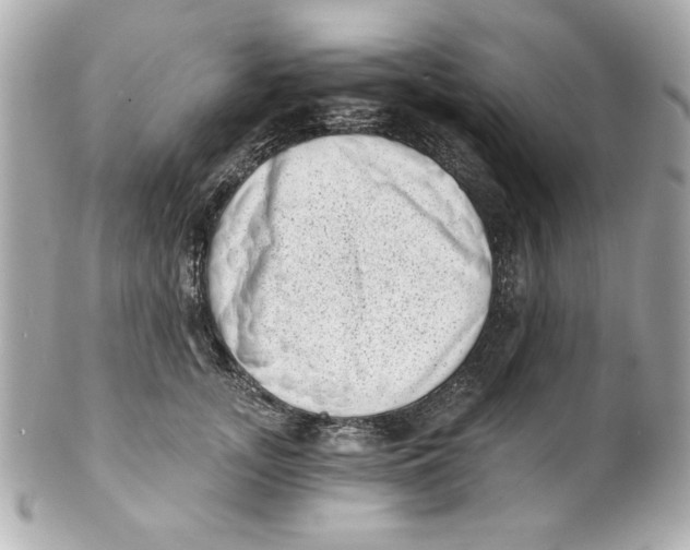 X0000101650755200807311413