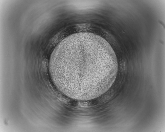 X0000101650757200807311413