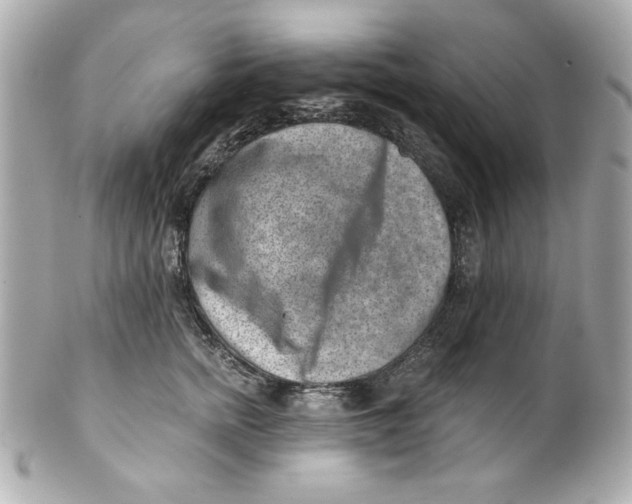 X0000101650758200807311413