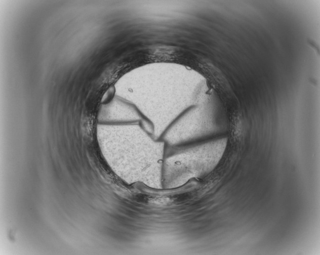 X0000101650759200807311413