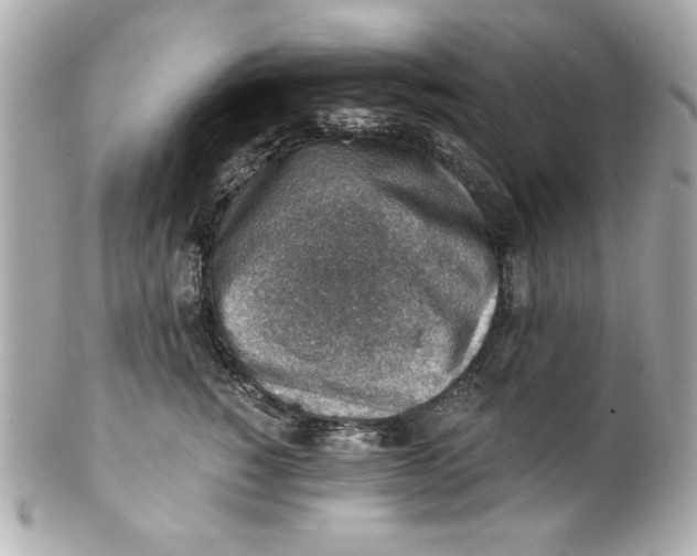 X0000101650760200807311413