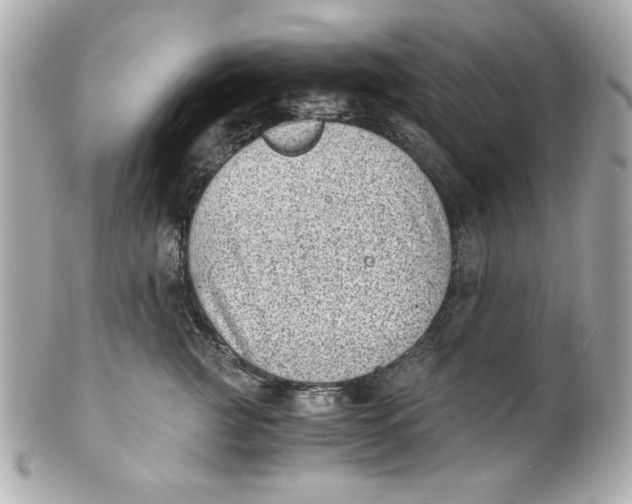 X0000101650761200807311413