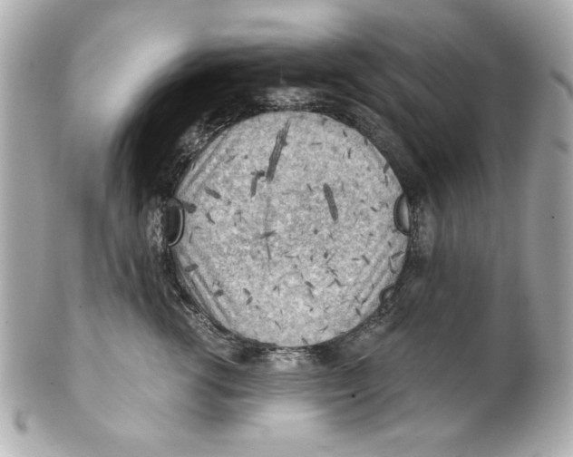 X0000101650762200807311413