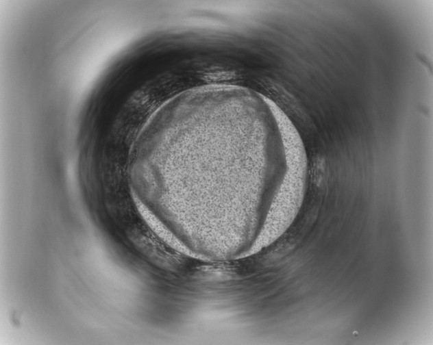 X0000101650763200807311413