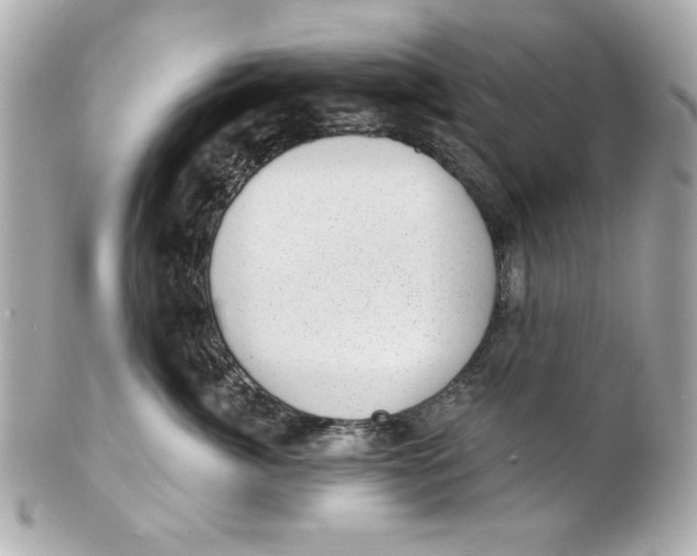 X0000101650764200807311413