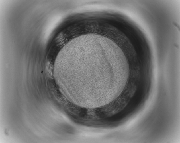 X0000101650766200807311413