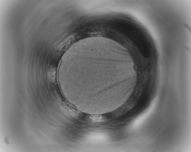 X0000101650767200807311413