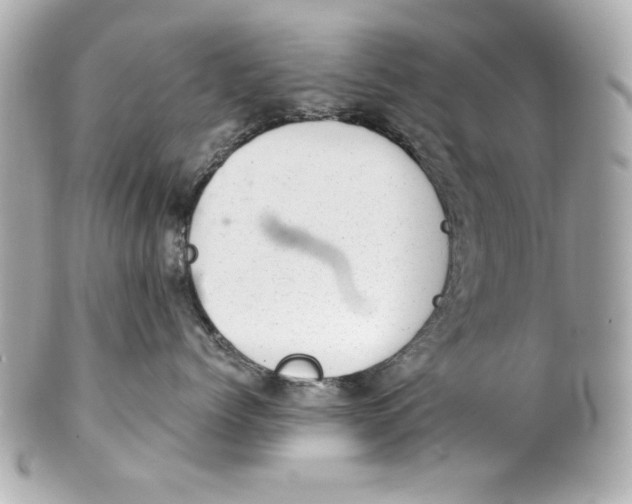 X0000101650768200807311413