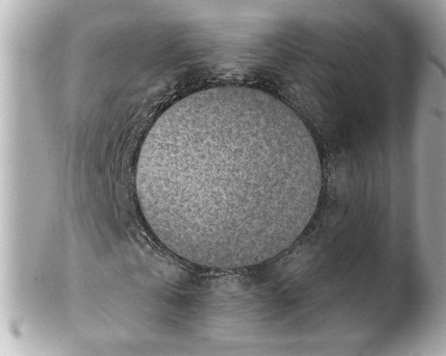 X0000101650769200807311412