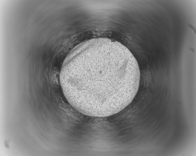 X0000101650770200807311412