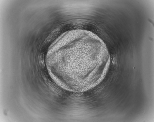 X0000101650771200807311412