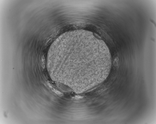 X0000101650772200807311412
