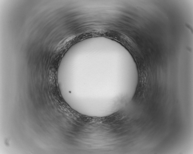 X0000101650773200807311412