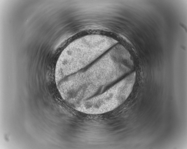 X0000101650775200807311412
