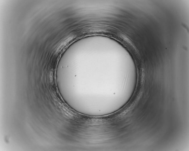 X0000101650777200807311412