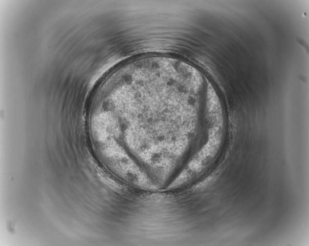 X0000101650779200807311412