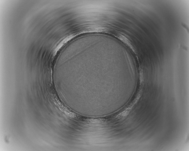 X0000101650781200807311412