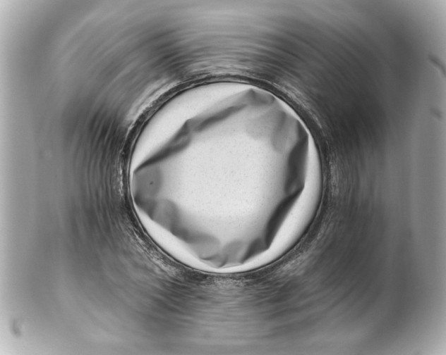 X0000101650782200807311412
